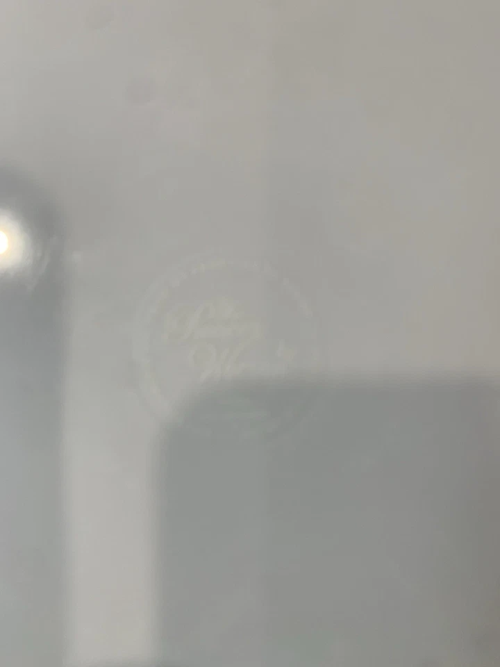 "Juego de 4 platos de merienda de postre para ensalada floral pintoresca de 9"" de melamina para mujer pionera" Foto 4 de 4