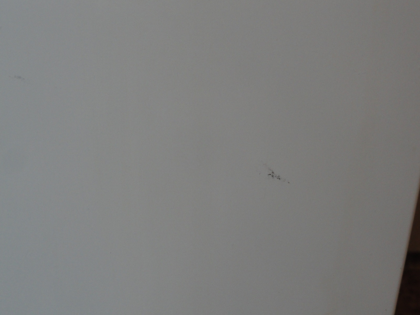 Picture 12 of 12