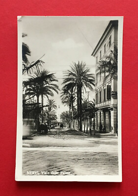 Foto AK NERVI bei Genua um 1930 Viale delle Palme   ( 54610