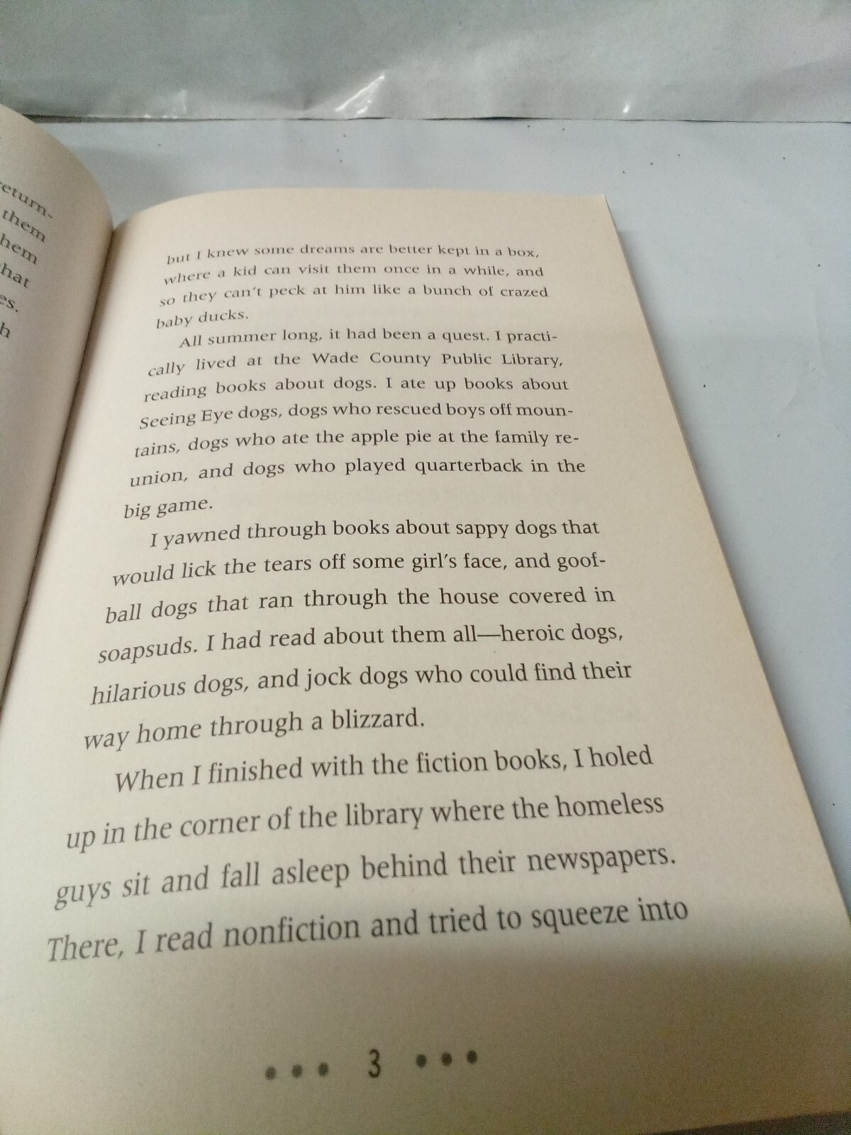 The PS Brothers - Paperback By Boelts, Maribeth - GOOD