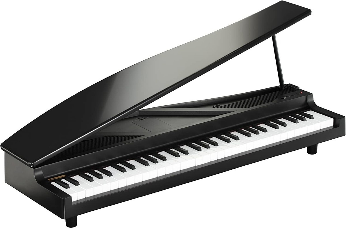 KORG microPIANO ブラック 61鍵ACアダプター付き 動作確認済み KORG Digital Piano microPIANO Black 61-key Mini Keyboard