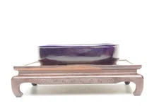 Bonsai Tree Pot Tokoname KOYO Oval Glazed Dark Blue Width 28 cm / 11.02 in.