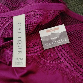 NWT Lane Bryant Cacique Sexy Lingerie Cheeky Plus Panties 18/20 Purple with lace