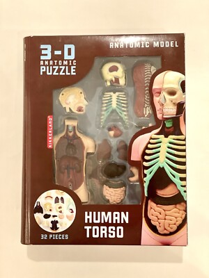 人体模型 KIKKERLAND 3D ANATOMIC PUZZLE MUSCLE MAN Kikkerland Human Torso Anatomical 3-D Puzzle Model 32 Pieces