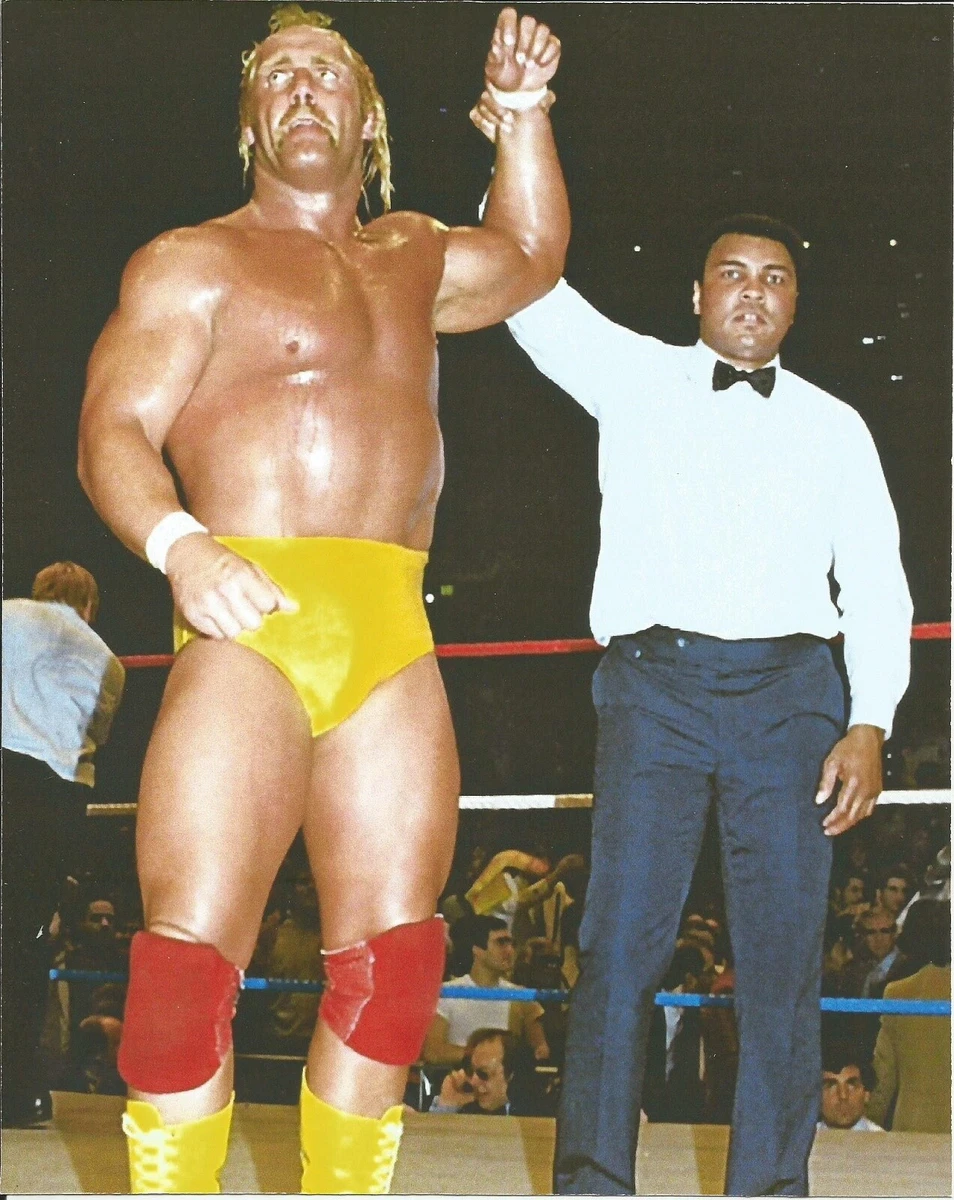Hogan colorate shop