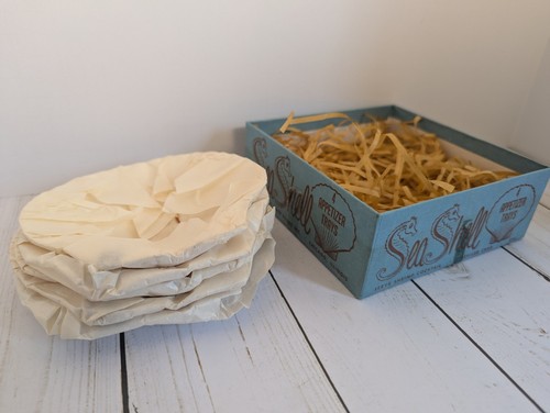Vintage Sea Shell Appetizer Trays Set/5 Shrimp Cocktail Deviled Crabs Caviar - Picture 6 of 12