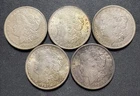 Lot of 5 1921 Morgan Silver Dollars - Old Album Toning - Uncertified