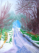 DAVID HOCKNEY LITHOGRAPHIE 50x35cm, LIMITIERT, SIGNIERT, NUMMERIERT + ZERTIFIKAT