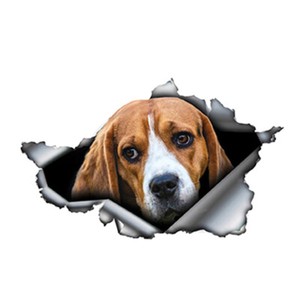 beagle accessories