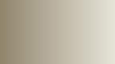 Vallejo Paints & Accessories VLJ-74614 Vallejo Surface Primer Israeli Sand Grey 