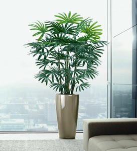 Faithfully 90 cm. Rhapis with Natural Coconut Fibre Art Palm Tree Art