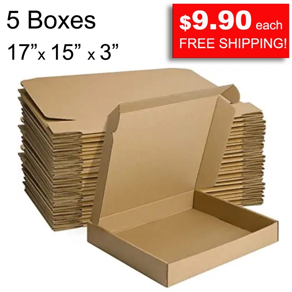 Multiuse Cardboard Box 17 x 15 x 3&quot; Laptop, Literature Mailers, 5 