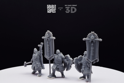 Kingdom Champion Dwarf & Banner Davale Games 3D Printed With High Quality Resin - Bild 7 von 12