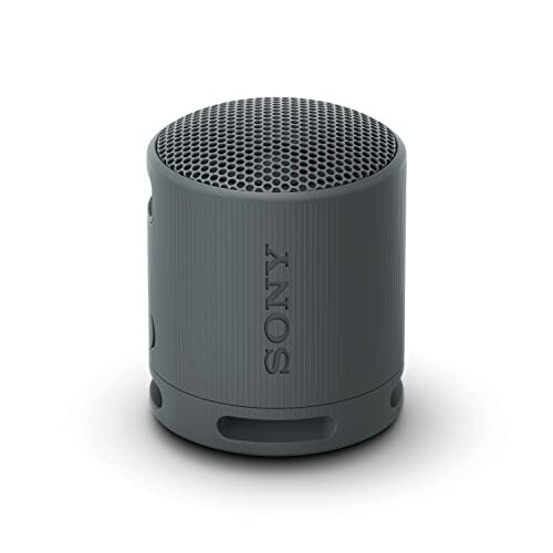 Sony SRS-XB100 Wireless Bluetooth Portable Lightweight Super