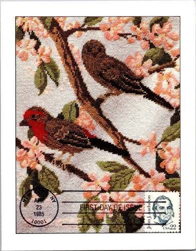Dr Jim Stamps Maximum Card John Audubon 22C Fdc Bifold
