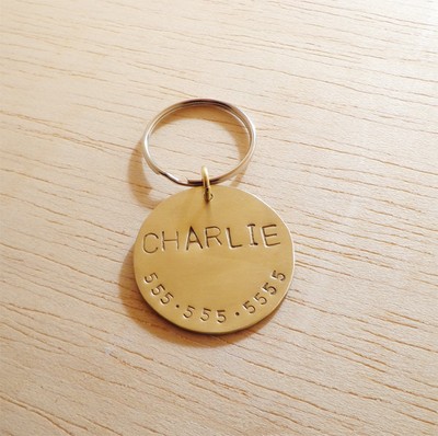 Round Collar Name Puppy Name Dog Id Dog s For Dogs Ebay