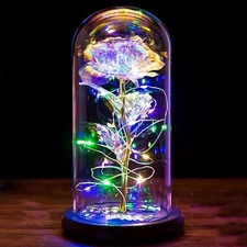 Eternal Forever Romantic Rose Flower In Glass Dome LED Light Christmas Gift 