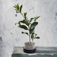  35mm Round Ikebana Kenzan Stainless Steel Needle Flower Fixed Arrangement