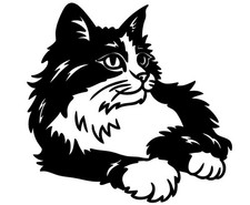 New Cat Fluffy Handmade Permanent Vinyl Decal Sticker 4  Black or White