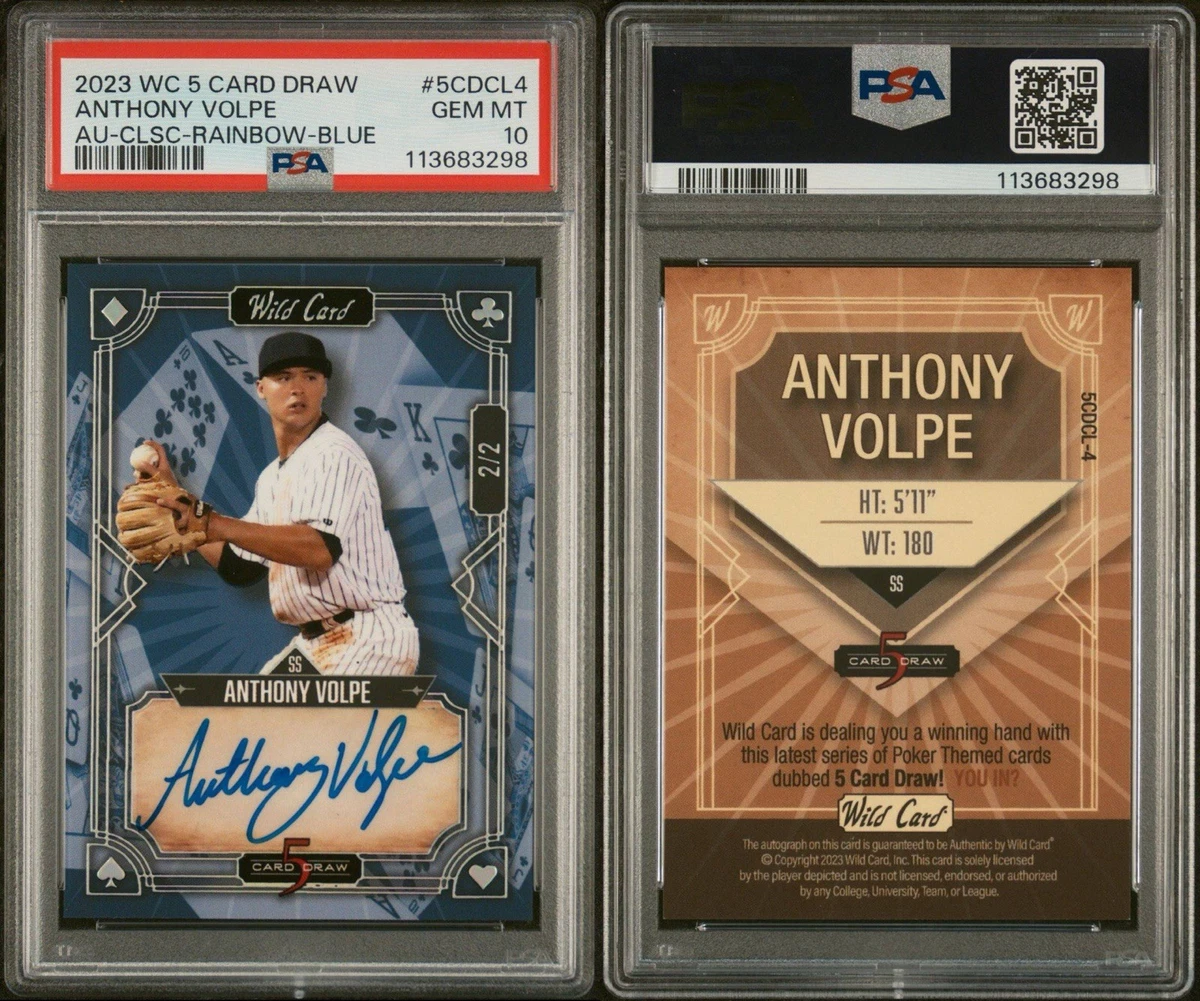 2023 Wild Card 5 Card Draw - Anthony Volpe #5CDCL-4 for sale | eBay
