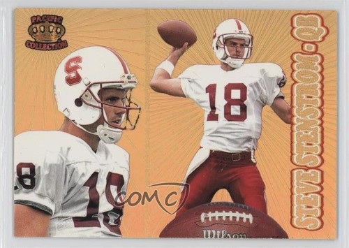 1995 Steve Stenstrom [Gold] #208