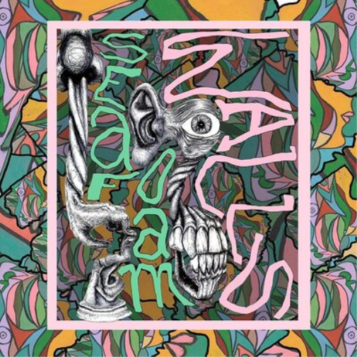 Seafoam Walls XVI (Vinyl LP) 12" Album Coloured Vinyl