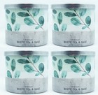 4 Bath & Body Works WB WHITE TEA & SAGE 3 Docht Duftwachskerze 14,5 groß