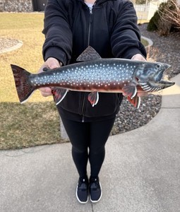 Arctic Char Brook Trout Taxidermy Fish Mount - Arctic Trout Salmon 12.5”