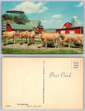 Vtg THE BARNYARD Postcard Dexter Press J. Julius Fanta Farm Cows Barns Silo