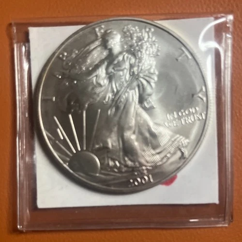2001 Walking Liberty Uncirculated Silver One Dollar 1 OZ Fine Silver USA