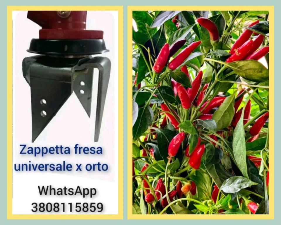 Testina Zappetta fresa universale per tutti decespugliatori a scoppio a 4 punte. - Immagine 2 di 4