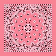 New 22" Strawberry Paisley Bandana Handkerchief Scarf 100% Cotton Made In USA