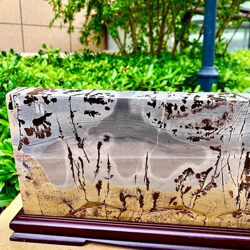 12.67LB Beautiful Natural Chinese Dendritic Limestone Picture Stone Guohua - Rar - 第 12/16 張圖片