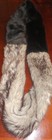 Bild 4 von 5