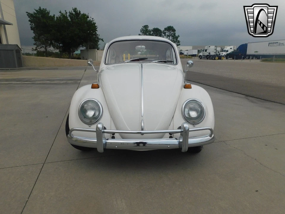 1966 Volkswagen Beetle - Classic  - Image 3 of 4