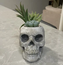 FLORA BUNDA SKULL HALLOWEEN ARTIFICIAL SUCCULENT PLANT CERAMIC PLANTER