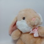 Bild 3 von 12