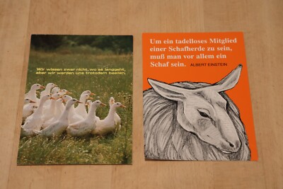 Gänse Groh 2580128 + Schaf A. Einstein B. Heinen *** 2er Set Spruch Postkarte PK