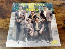 LOS REBELDES DEL BRAVO LP*CORRIDO "DARIO IBARRA" *TEJANO*LP NEAR MINT CONDITION!