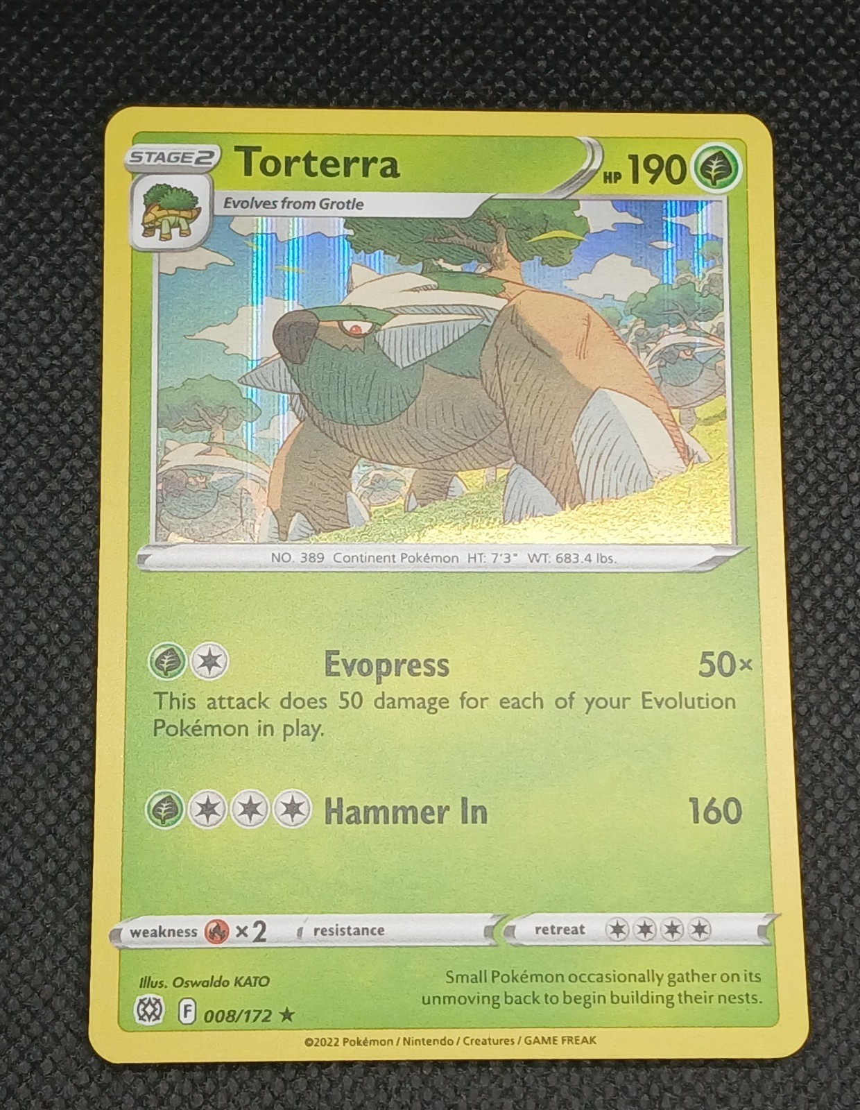 Torterra 008/172 Holo Rare Brilliant Stars Pokemon Holo NM