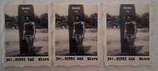 (3) DUKE KAHANAMOKU Surfing Rare Gypsy Oak Micro Gumball Machine Cards