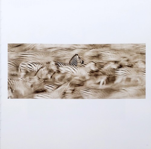 Homage by Graham Springer First Edition 2015 - Picture 2 of 17