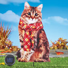 Adorable Cat Wearing Solar Led Autumn Plaid Scarf Yard Stake Metal Outdoor Decor