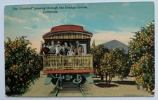 CA Postcard California "Limited" Passing through Orange Groves railroad train RR