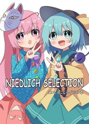 Doujinshi NIDLICH SELECTION B5 16P 2025/10/19 Mixmelon