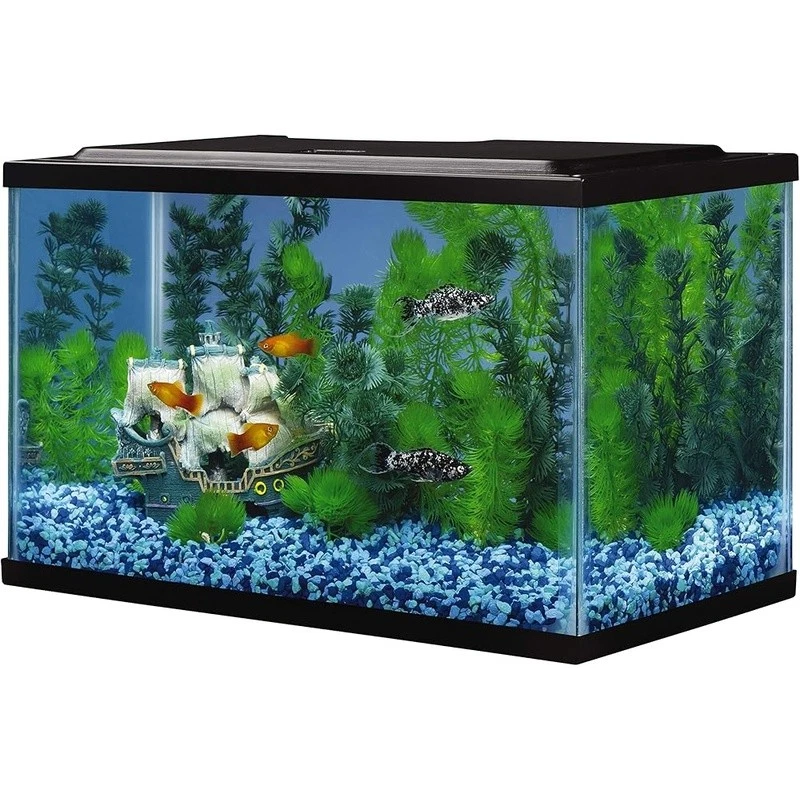 Kit de inicio de peces acuáticos tanque rectangular de vidrio para acuario de 5,5 galones accesorios Foto 3 de 3