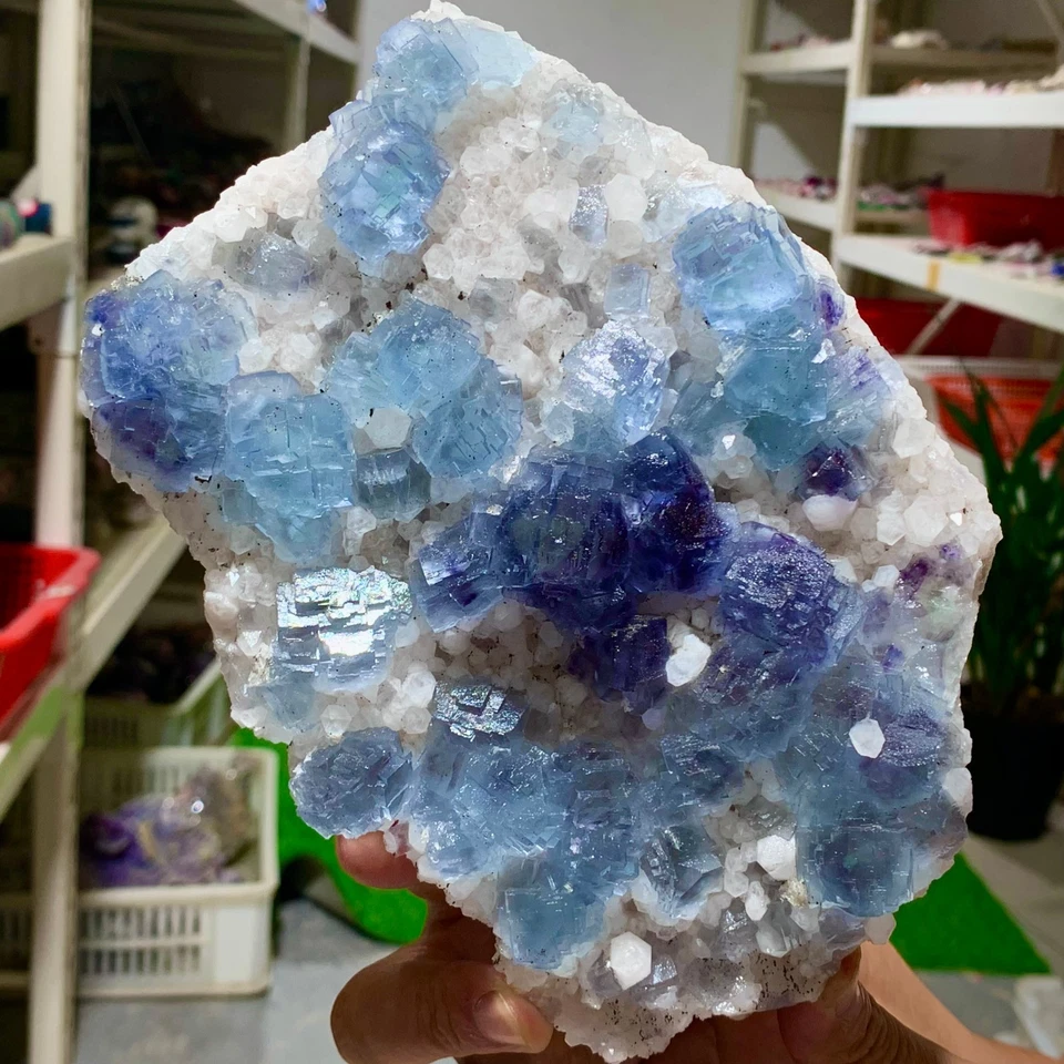 2,2 Pfund natürlicher Fluorit lila blaugrün kubischer Mineralkristall Probe/Yogangxian