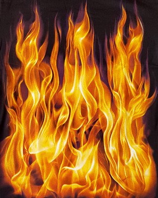 FLAMMEN T-SHIRT HARvEY BIKERCLUB FIRE M L XL 2XL HIGH DEFINTION LEUTCHTEND BIKER