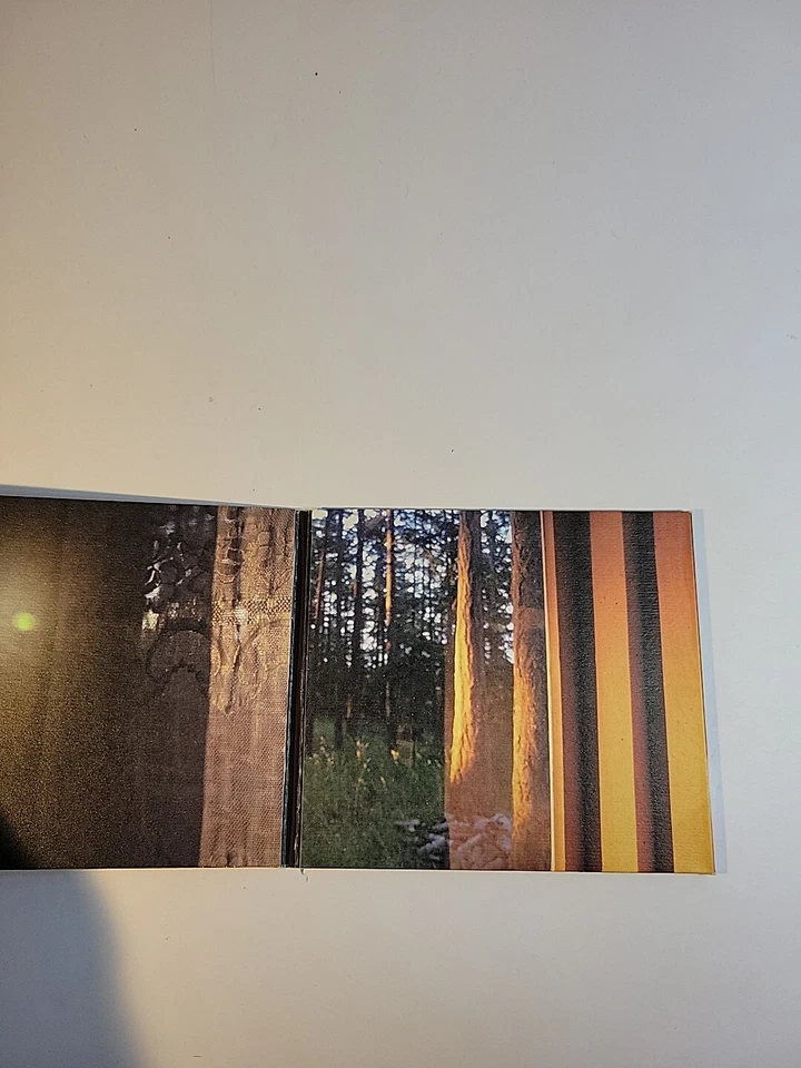 Sunrise : Music For Mellow Mornings Compilation Various Digipak 2010 JZ2208 Foto 2 de 4