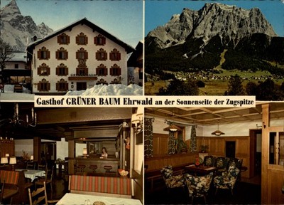 Gasthof Gruner Baum Ehrwald Tyrol Austria vintage postcard m796